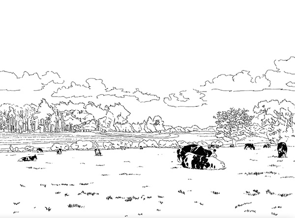 Still sketch picture of cows grazing in a field at Spetchley