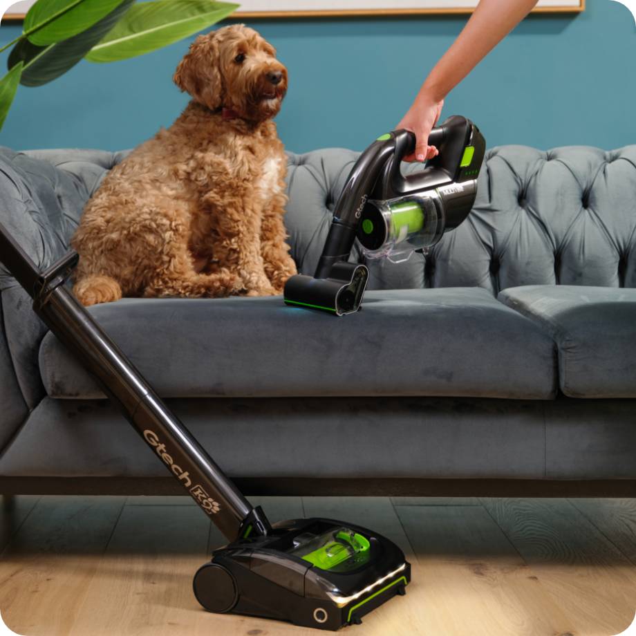 Pet Vacuum Cleaners