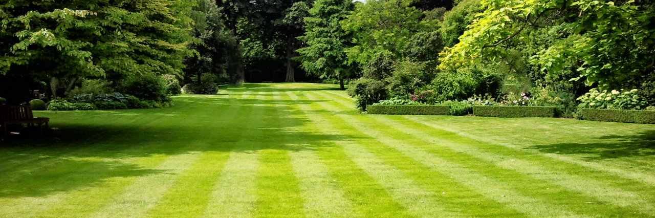 Lawn mowing: 5 top tips for a clean cut