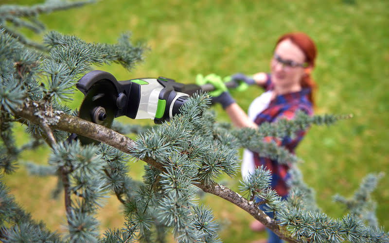 Woman cutting branches with HT50 hedge trimmer and branch cutter attachment
