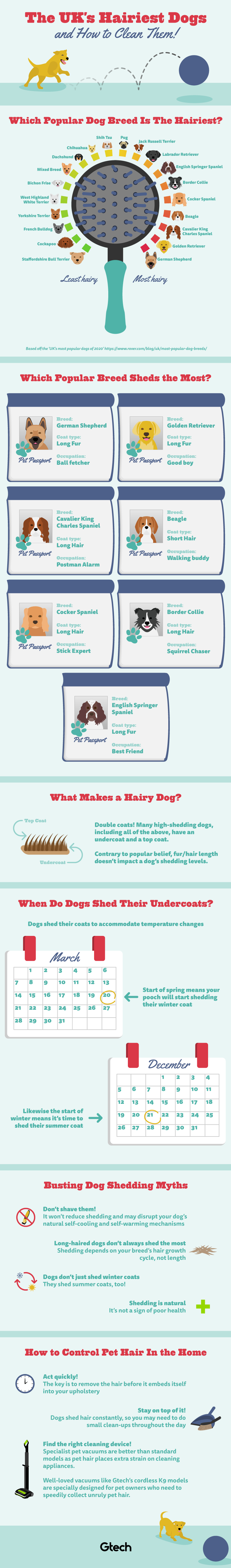 The UK's hairiest dogs and how to clean them 