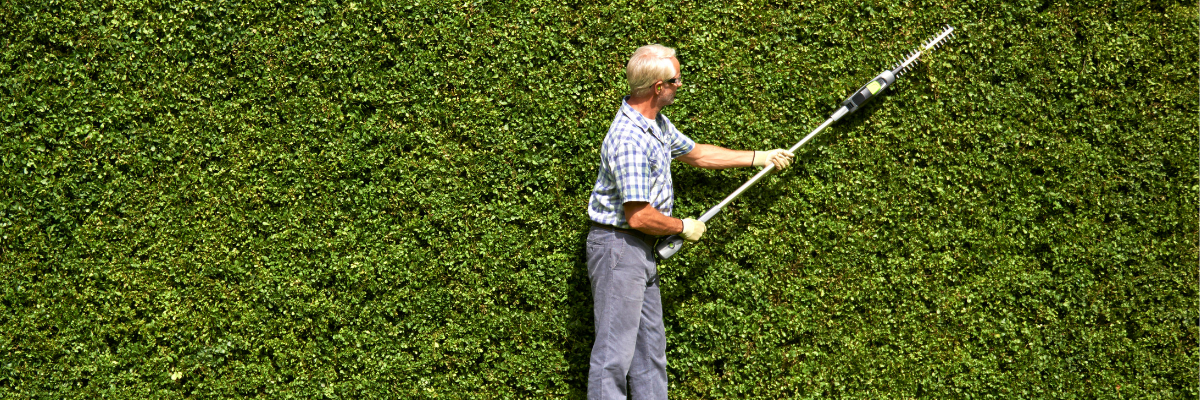 Hedge trimming laws: the dos and dont's