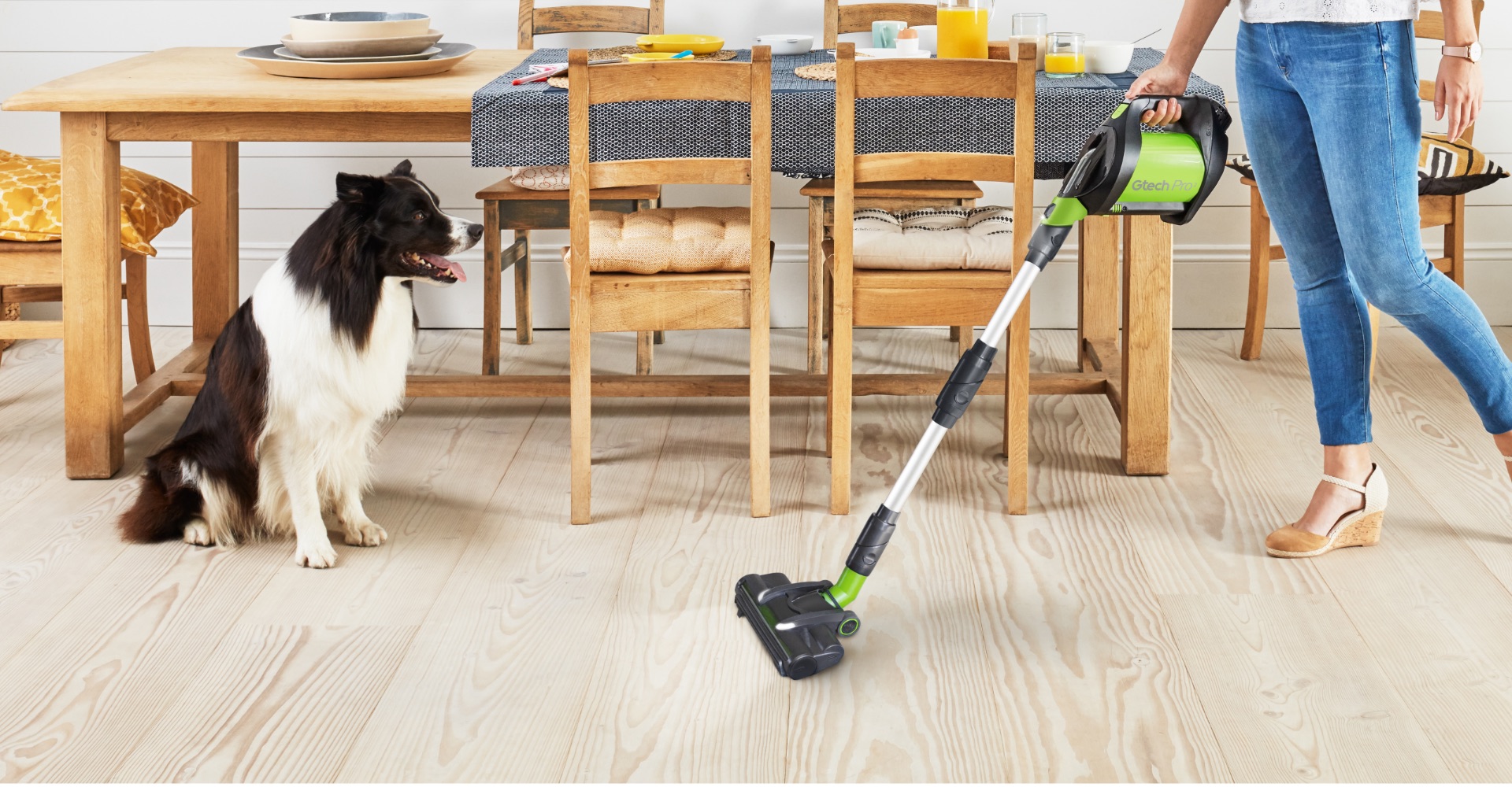 Pro 2 high performance cordless stick vacuum cleaner